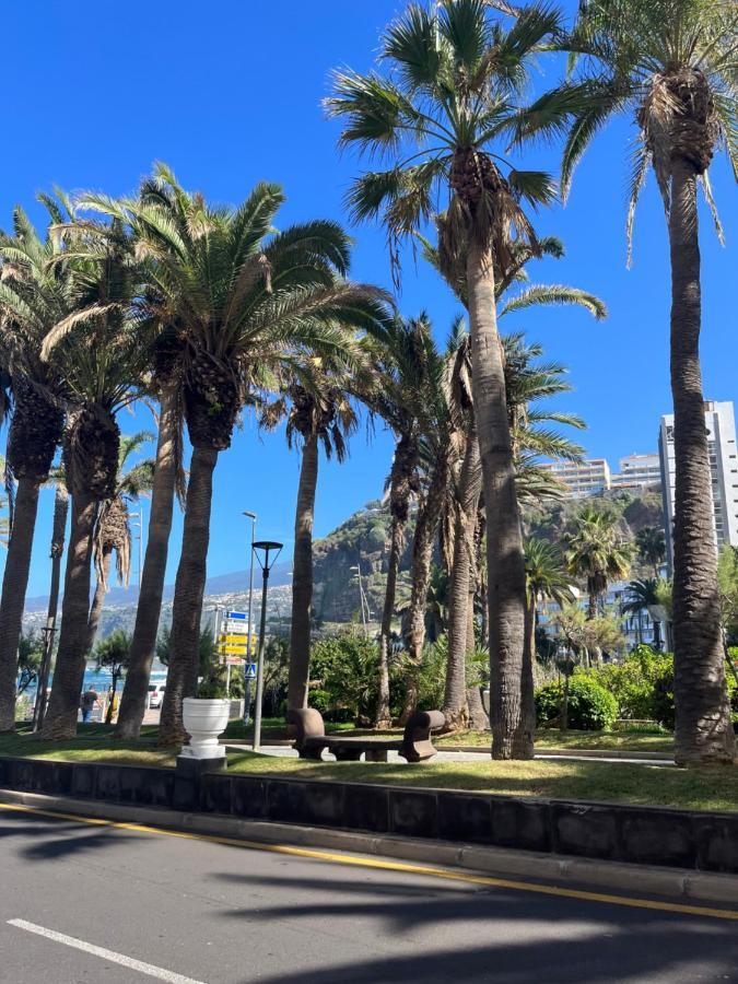 Estudio-Szl Puerto de la Cruz (Tenerife) Exterior foto